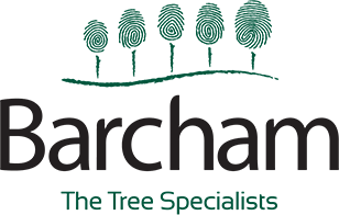 Barcham Trees